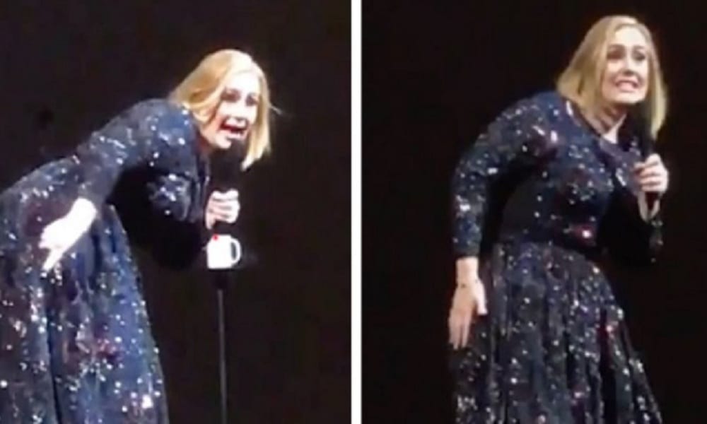 Adele, paura al concerto: spunta un pipistrello [VIDEO]