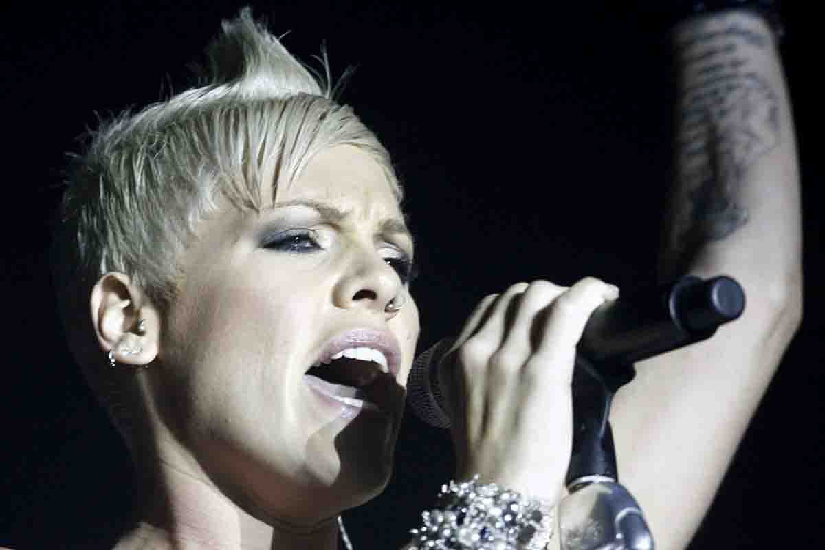 Pink, al secolo Alecia Beth Moore, 43 anni